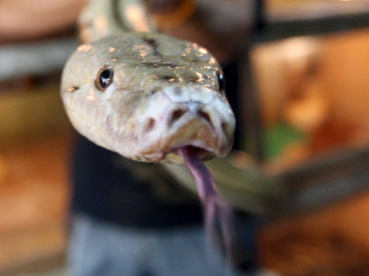 Zo eentje dus niet...