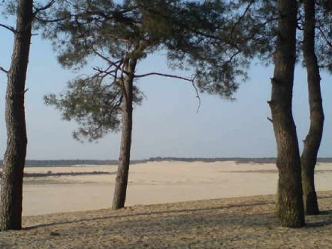 Omroep Brabant
