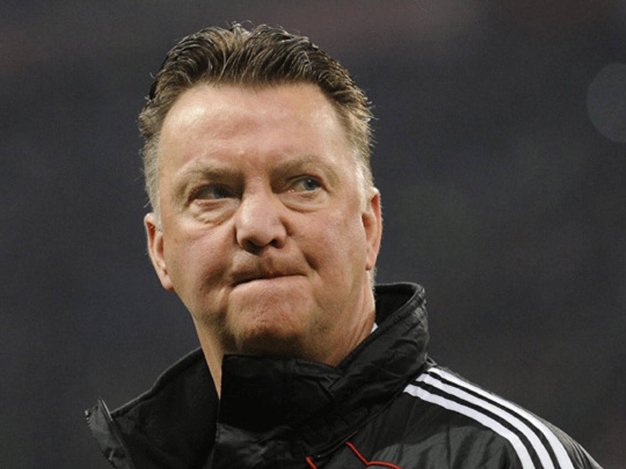 Stamboom ontleed: Louis van Gaal is een Brabo!