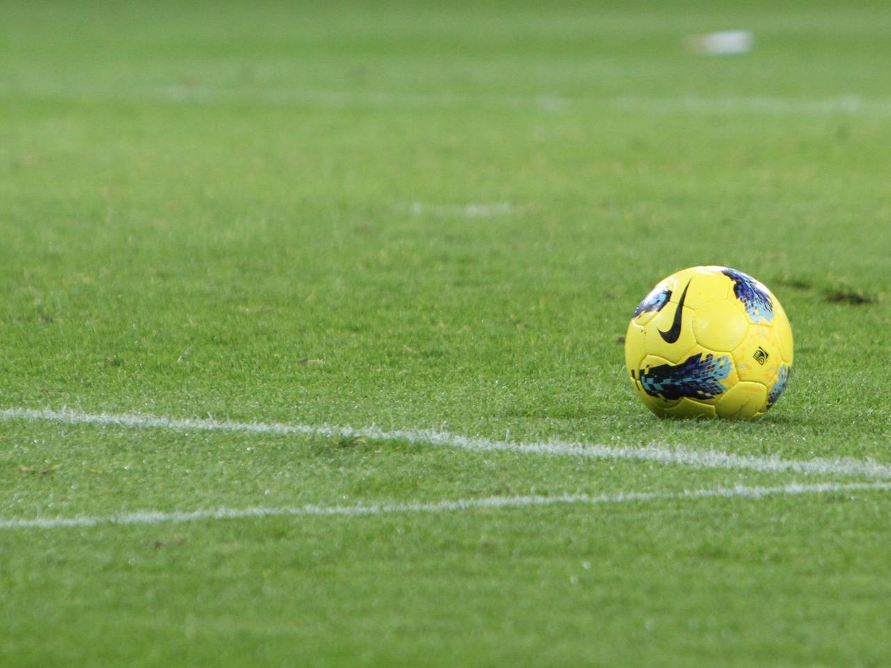 Conclusie hersenonderzoek: talent is aangeboren