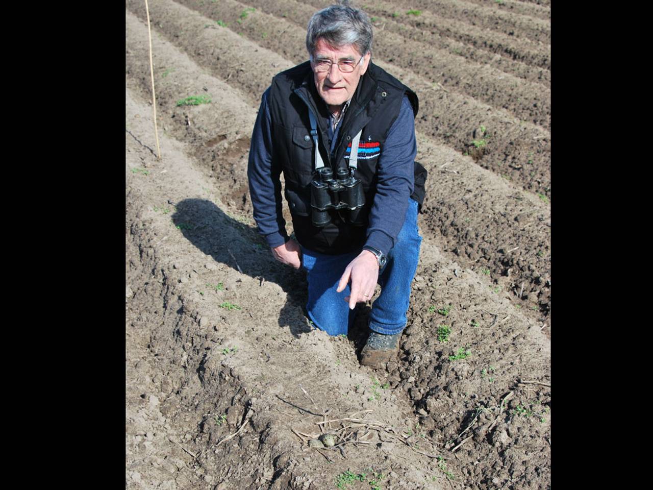 Omroep Brabant
