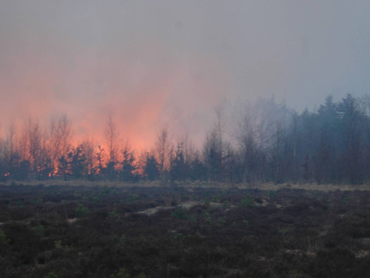 Omroep Brabant