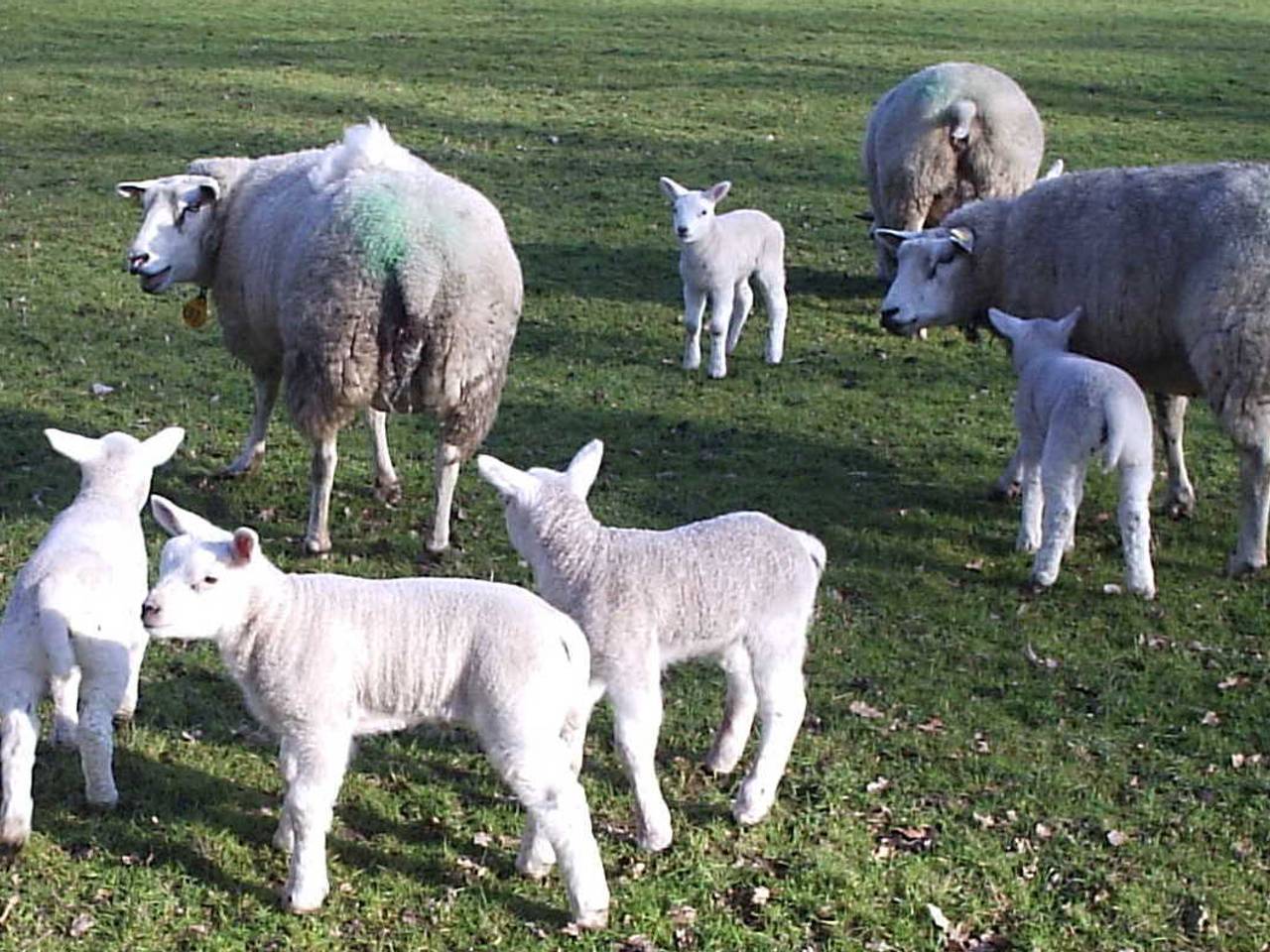 Omroep Brabant