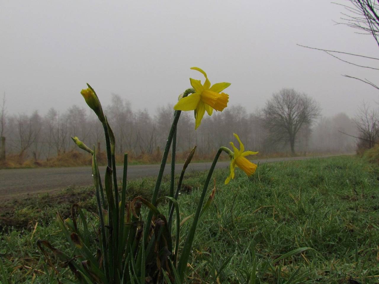 Omroep Brabant