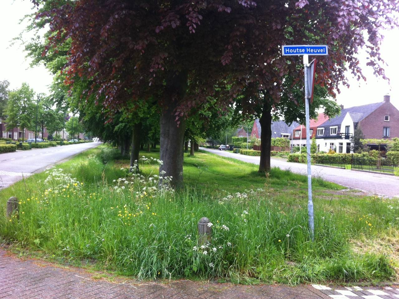 Omroep Brabant