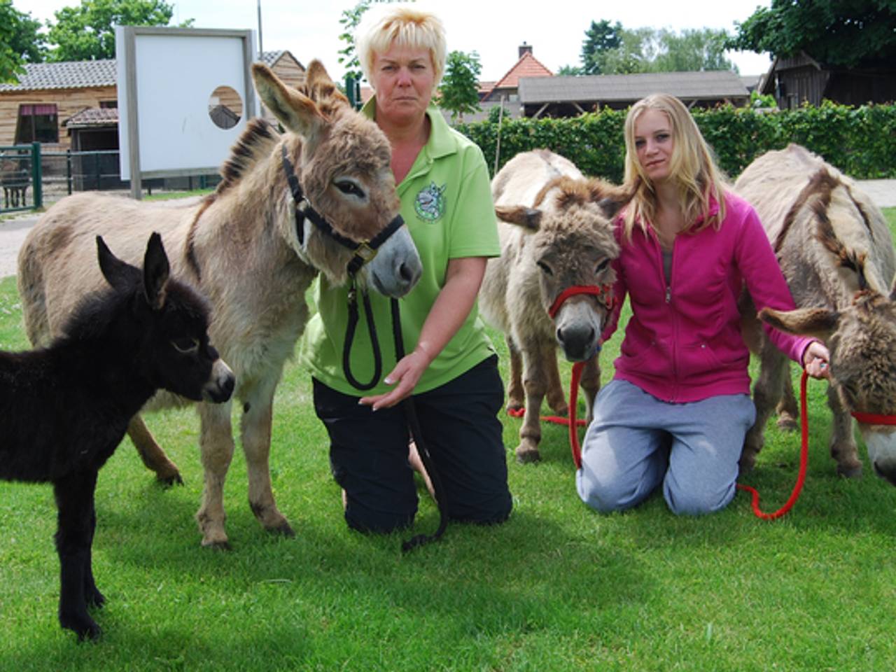 Omroep Brabant