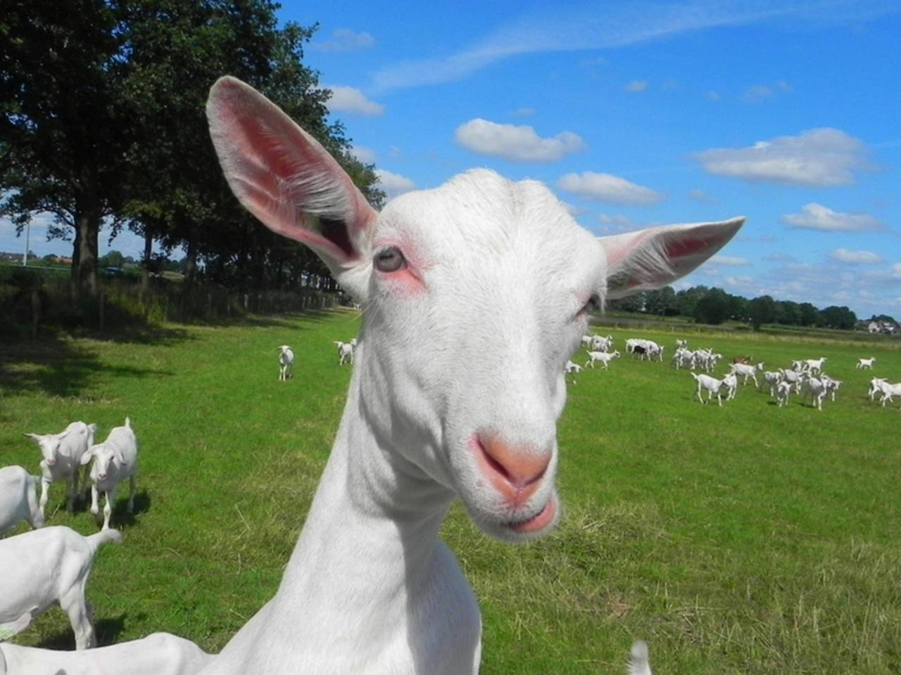 Omroep Brabant