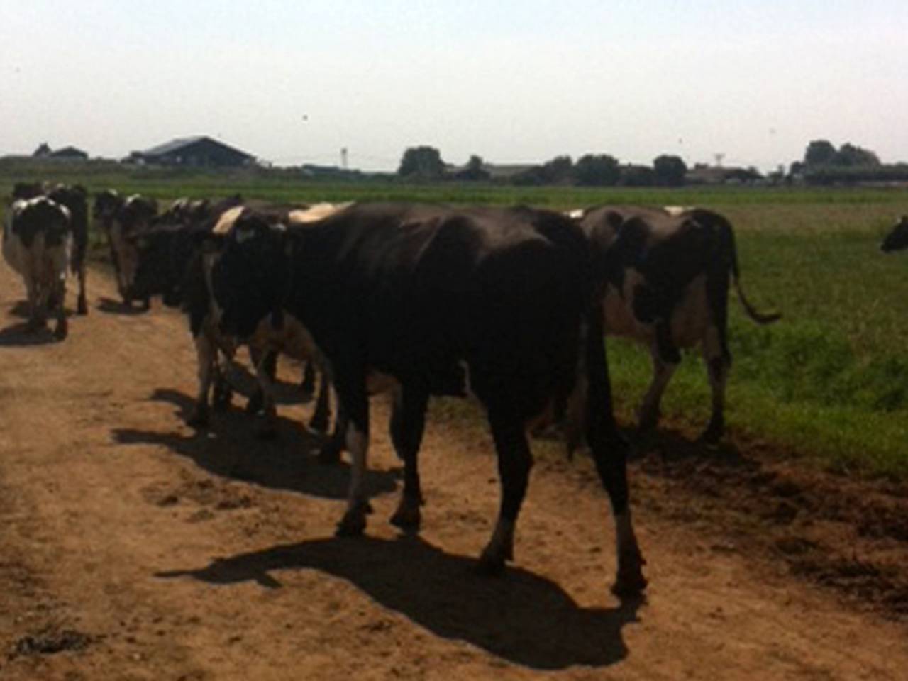 Omroep Brabant