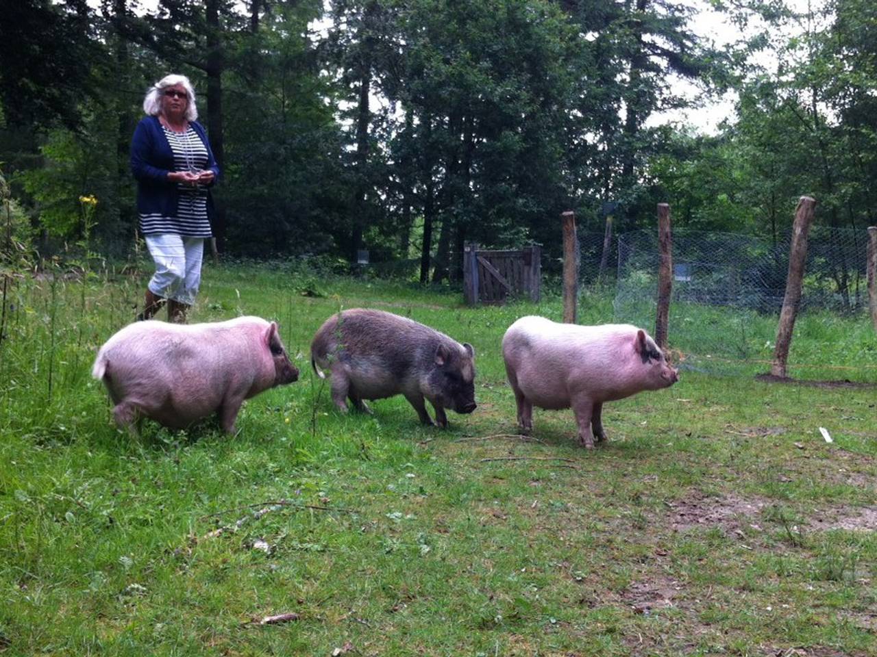 Omroep Brabant