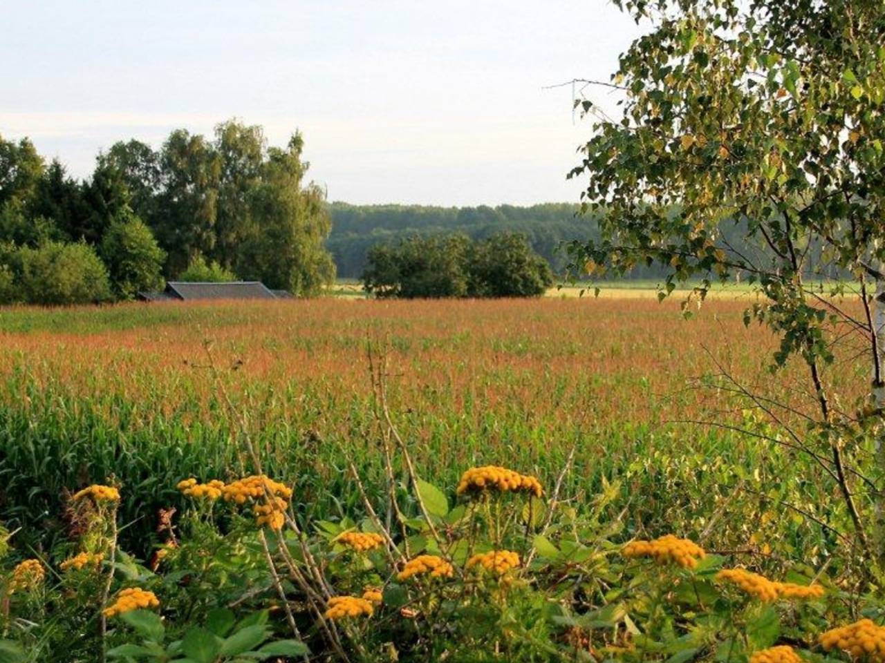 Omroep Brabant