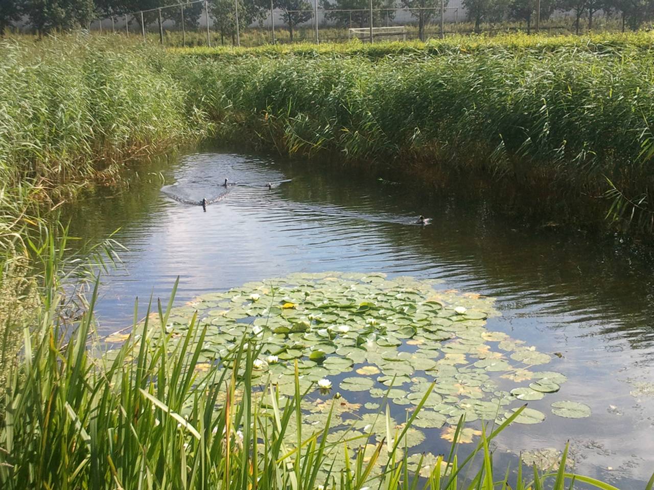 Omroep Brabant