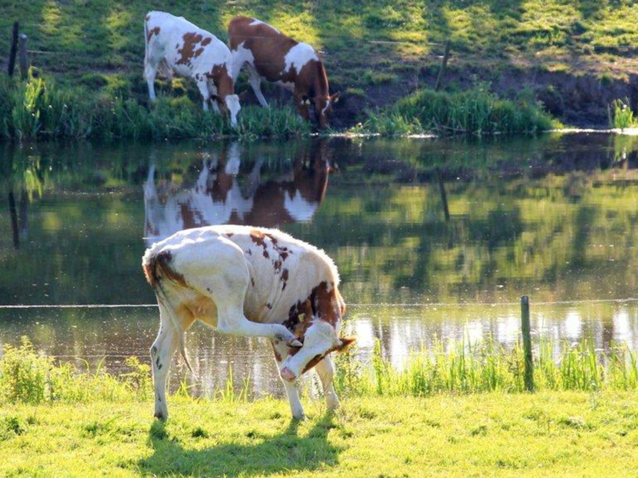 Omroep Brabant