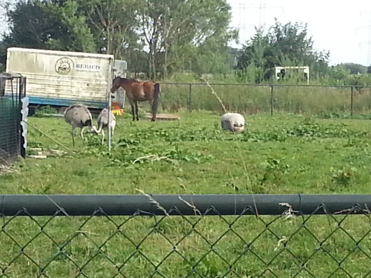Omroep Brabant