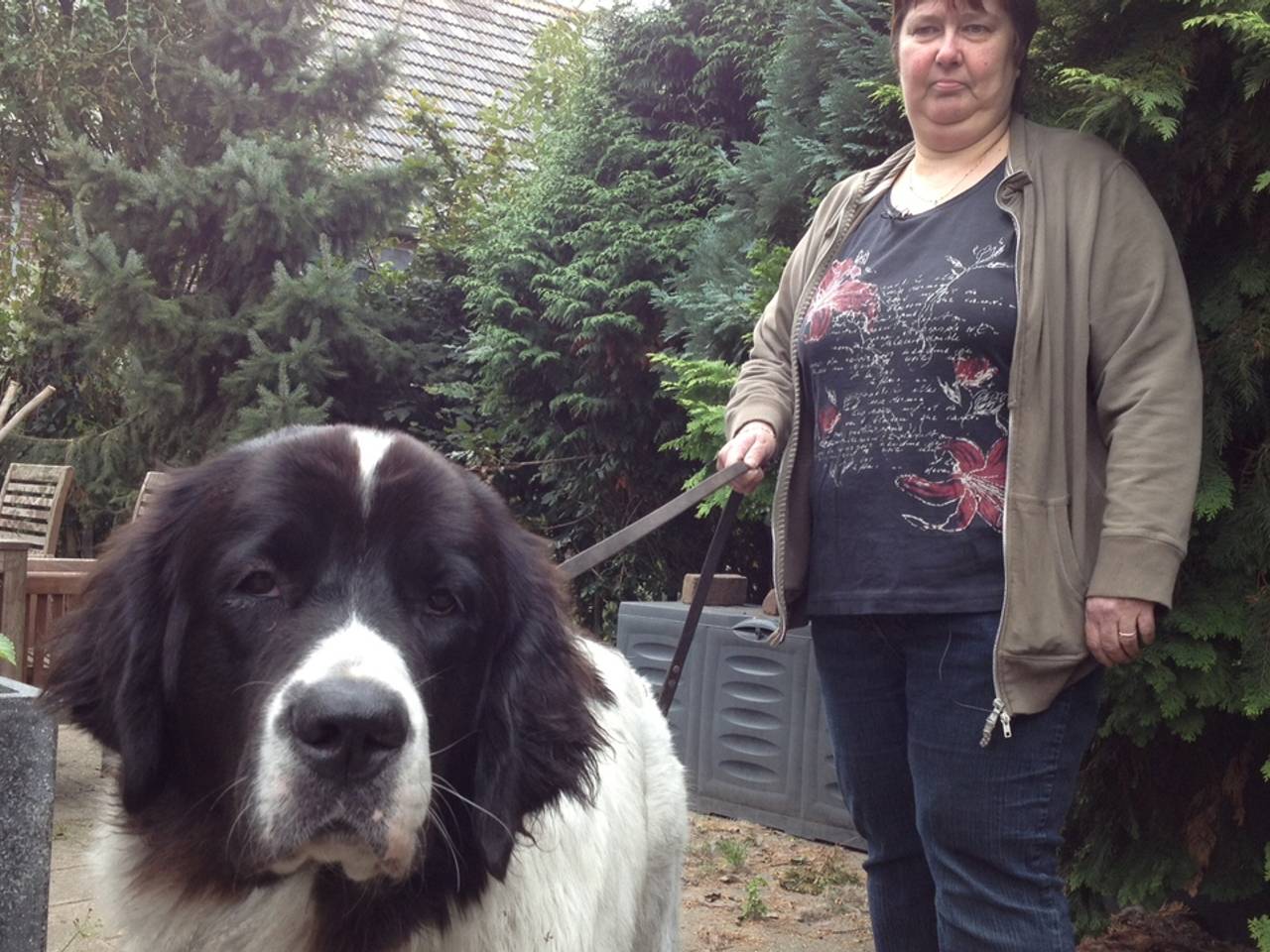 Omroep Brabant