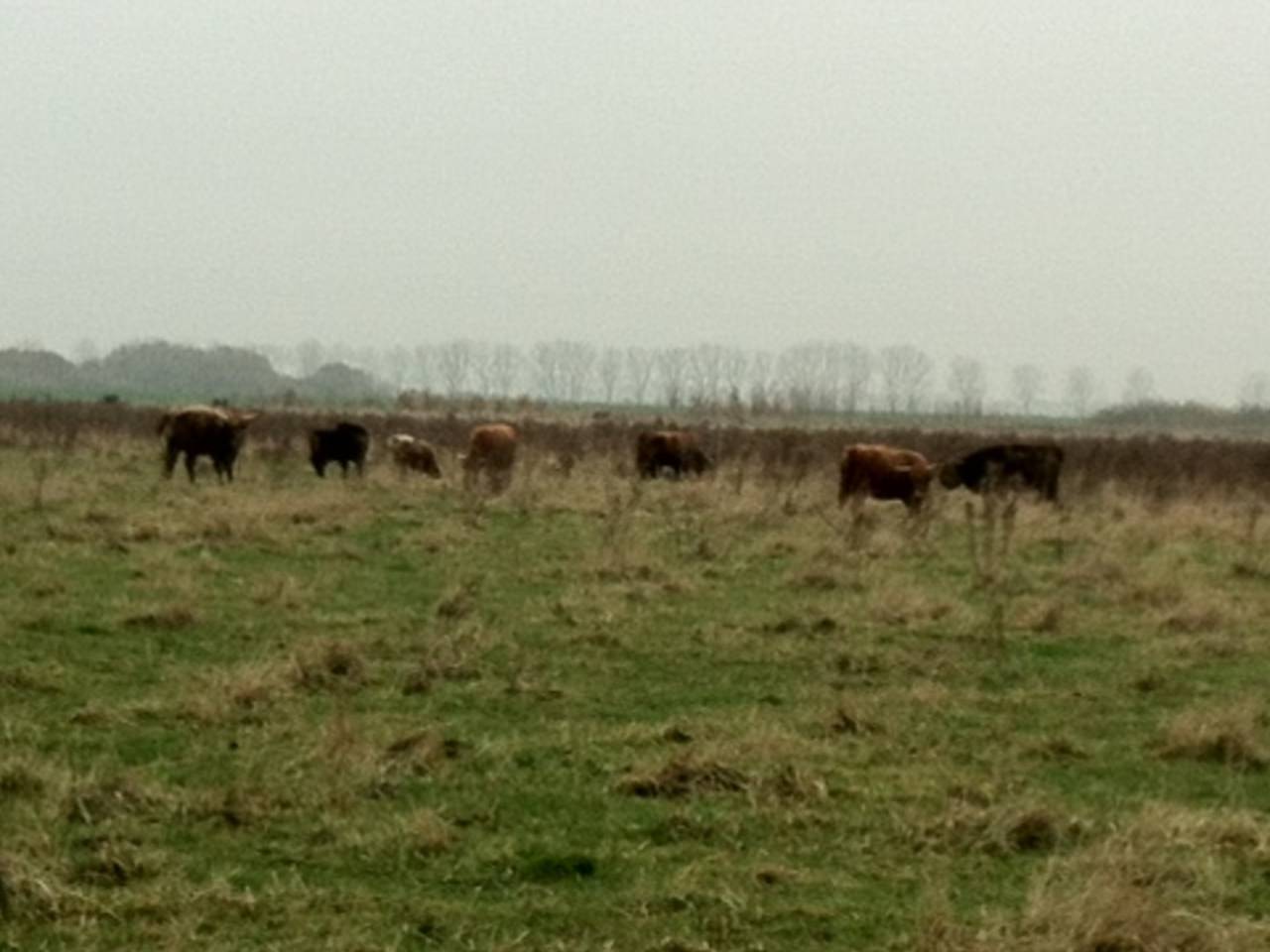 Omroep Brabant