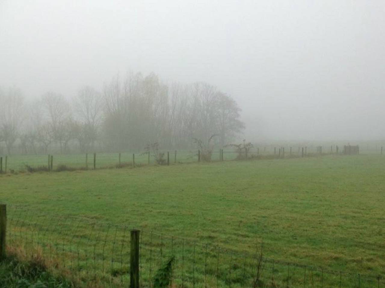 Foto: Corrie den Hollander