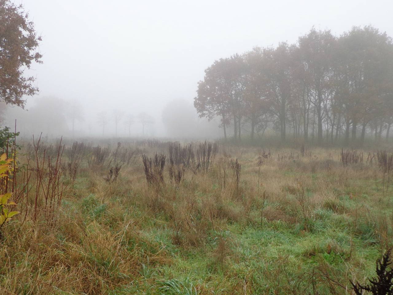 Omroep Brabant