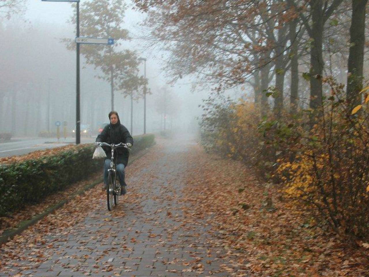 Omroep Brabant