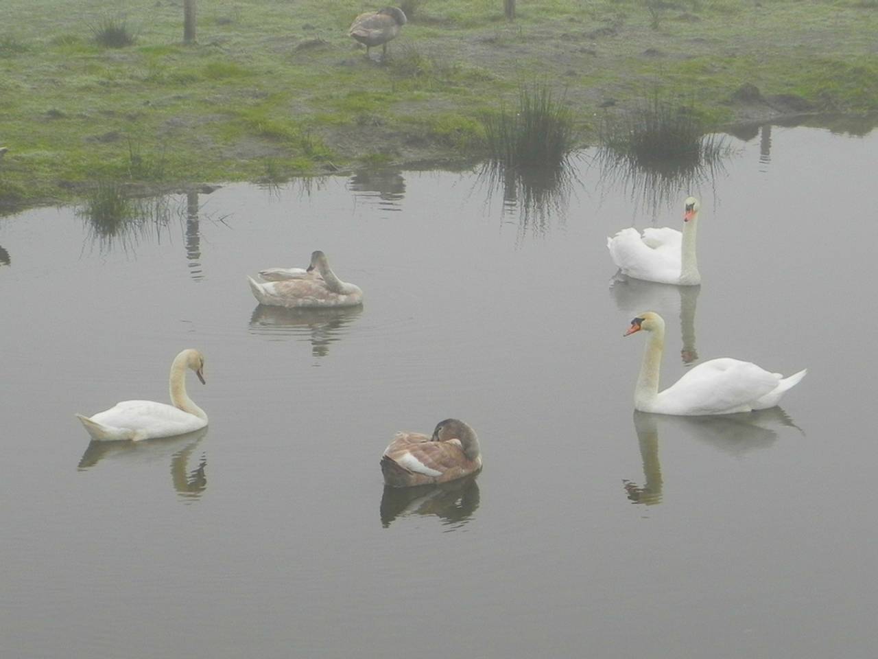 Omroep Brabant