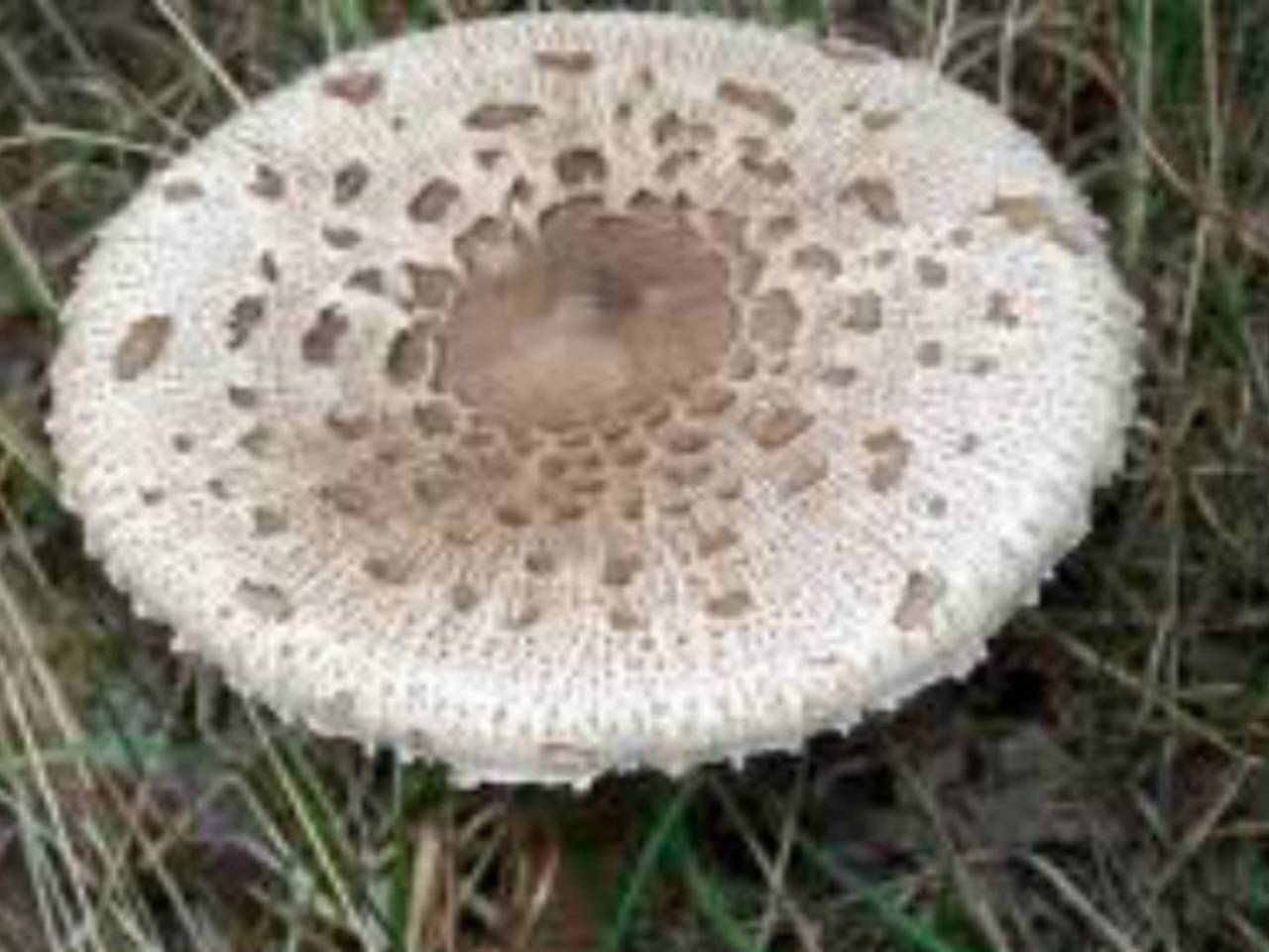 Omroep Brabant