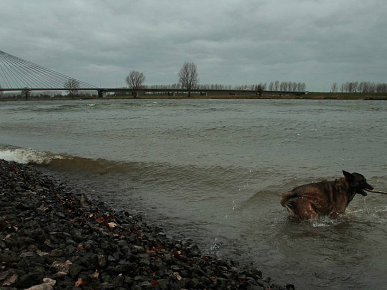 Omroep Brabant