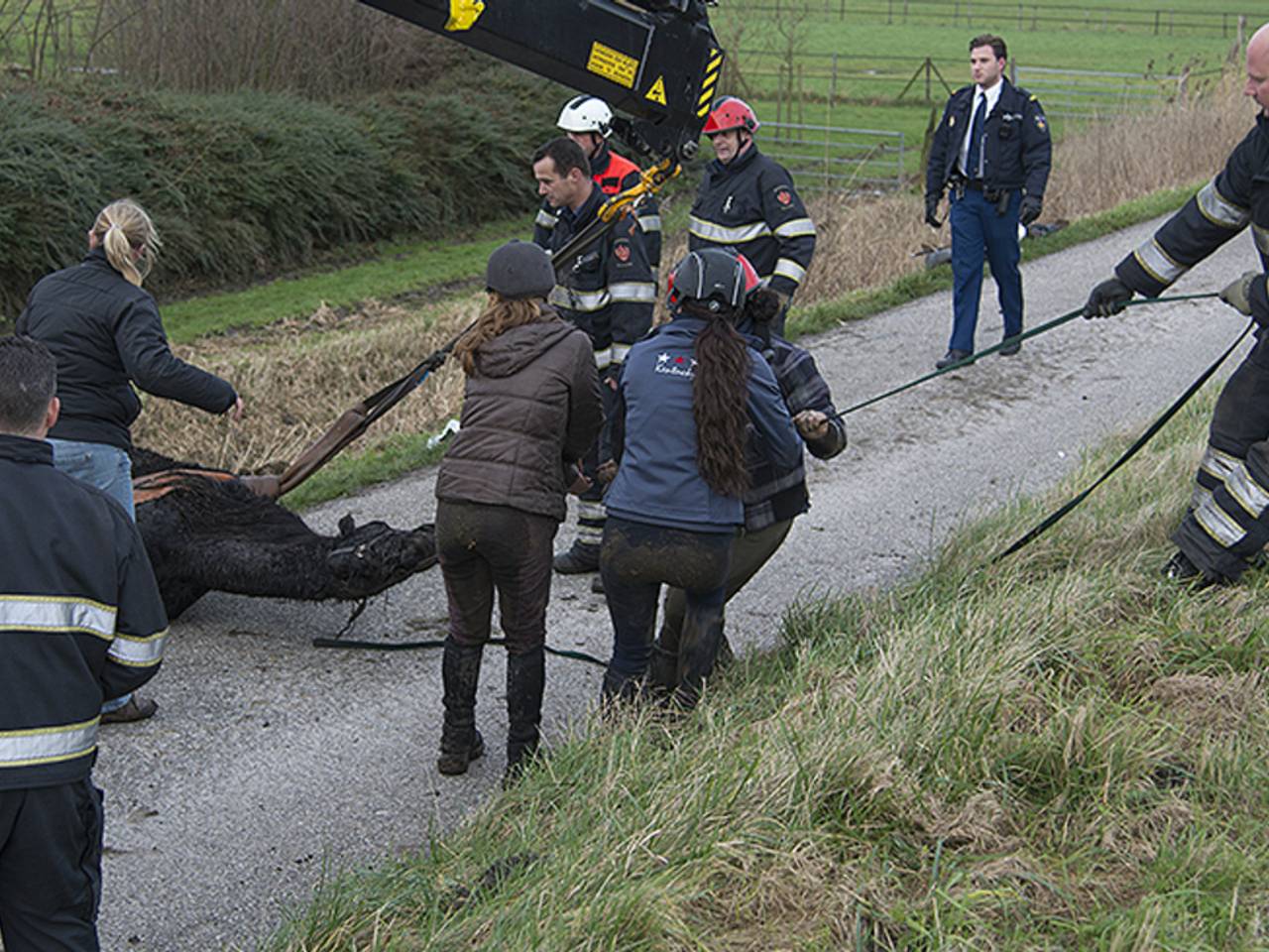 Omroep Brabant