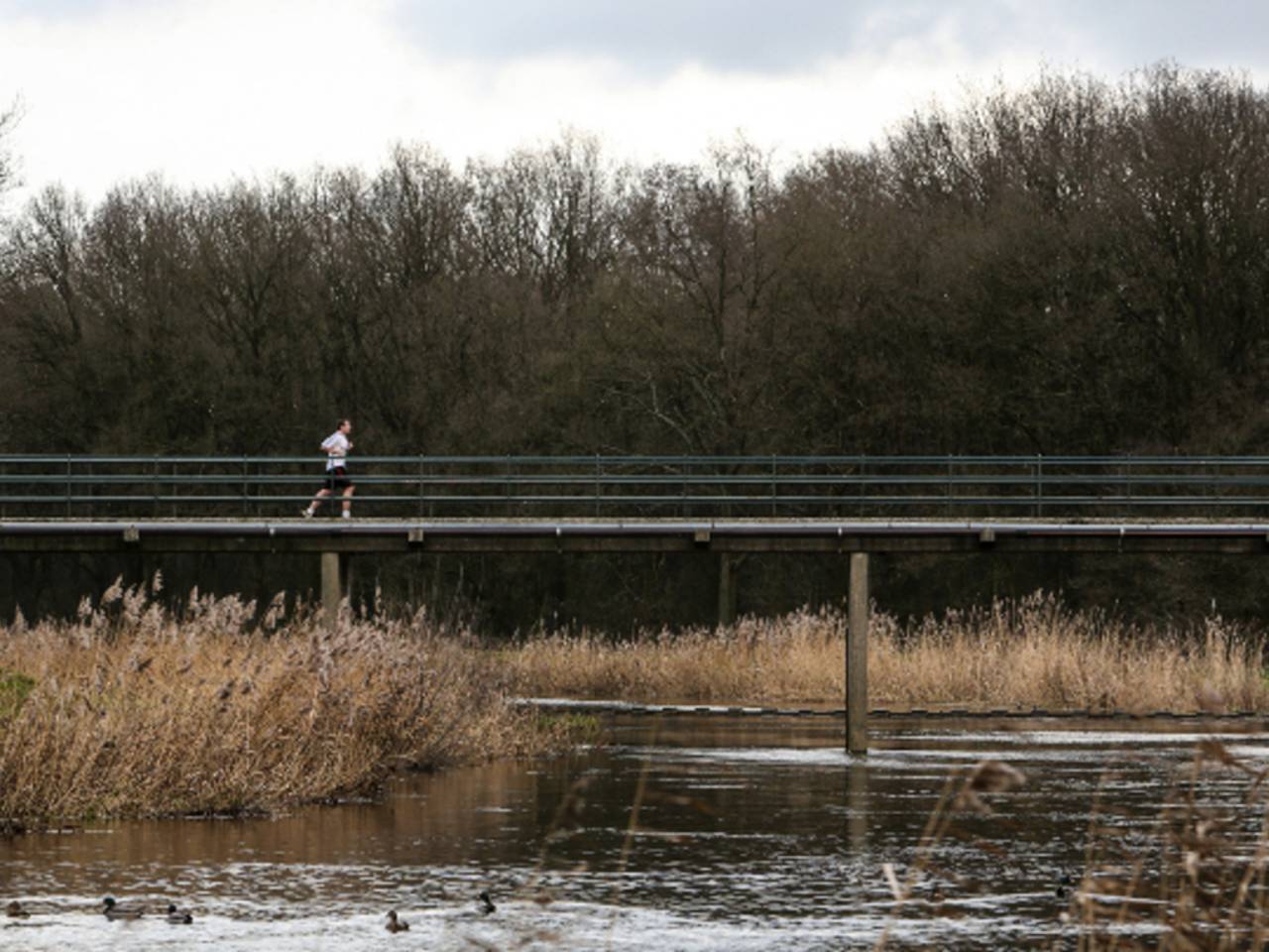 Omroep Brabant