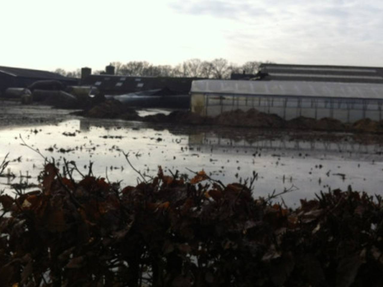 Omroep Brabant
