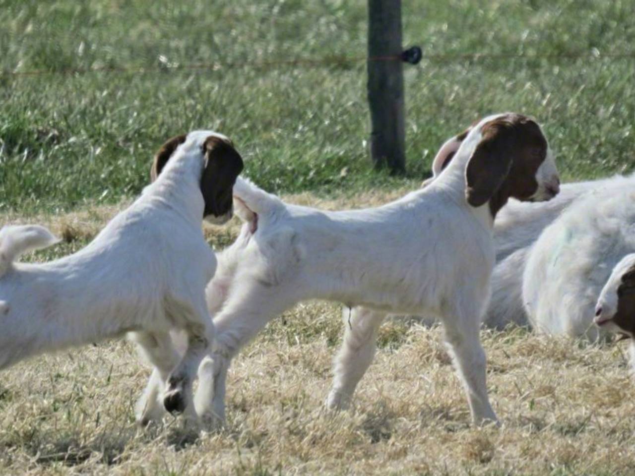 Omroep Brabant