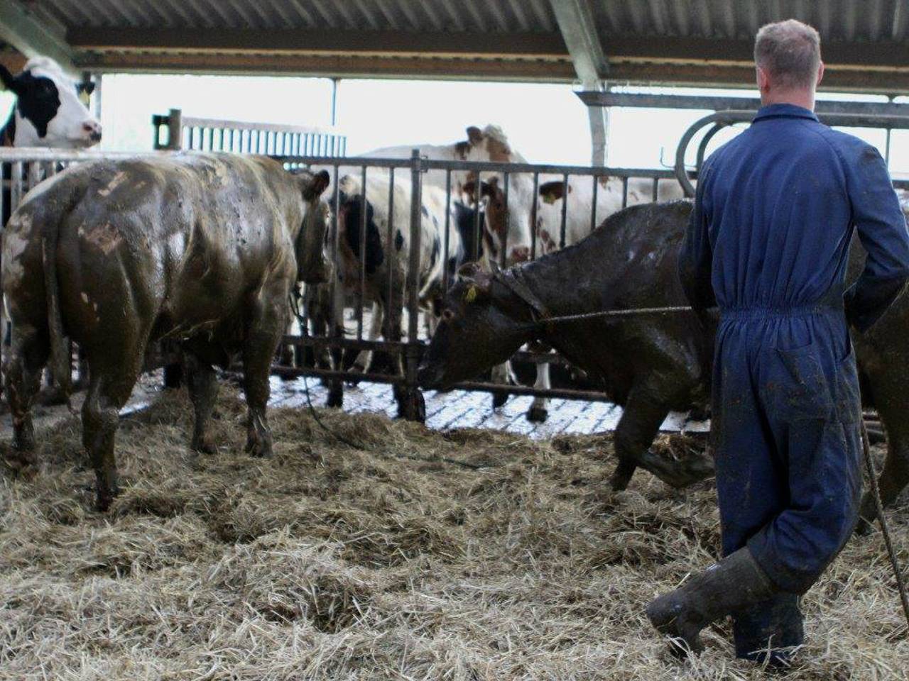 Omroep Brabant