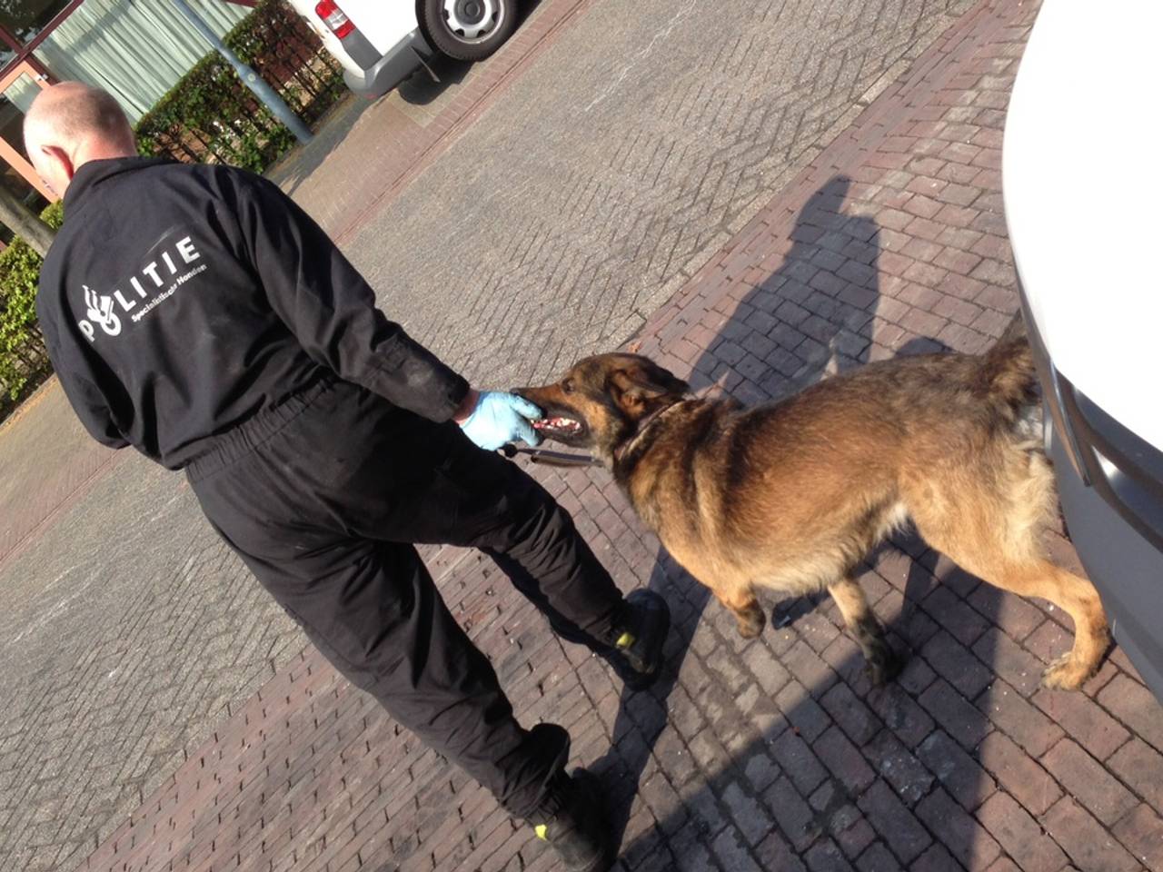 Omroep Brabant