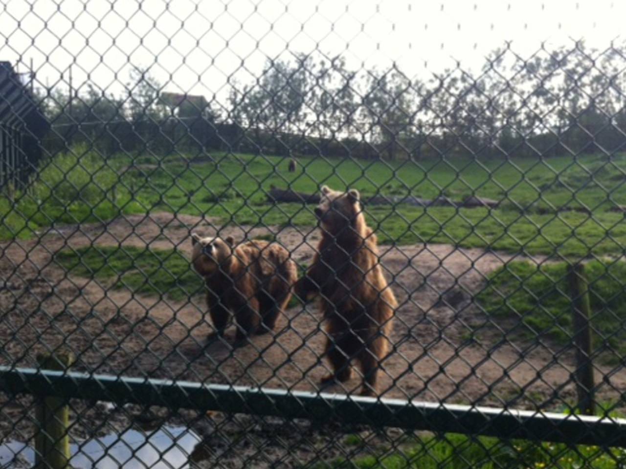Omroep Brabant