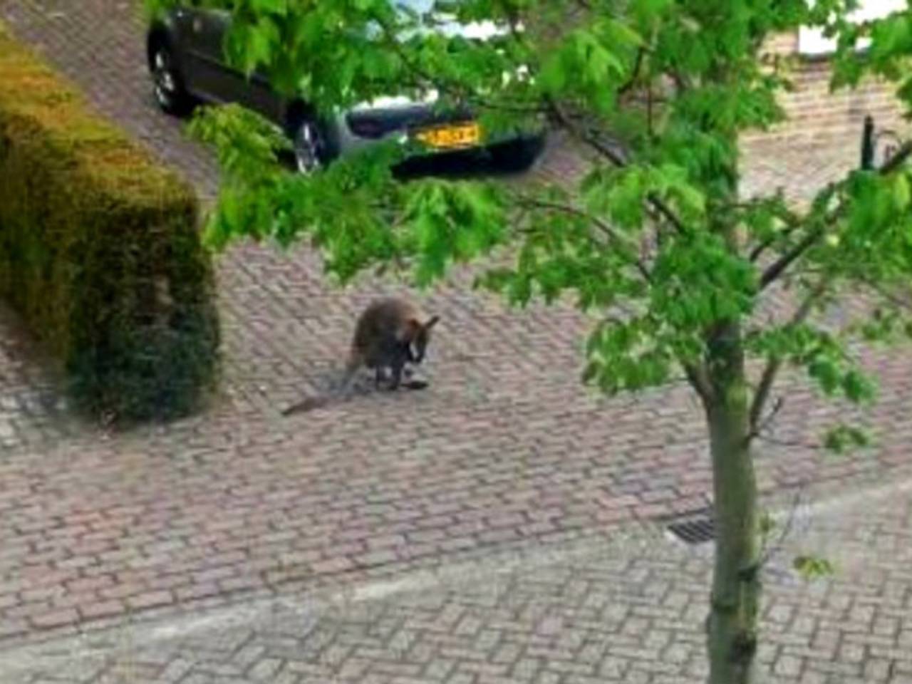 Omroep Brabant