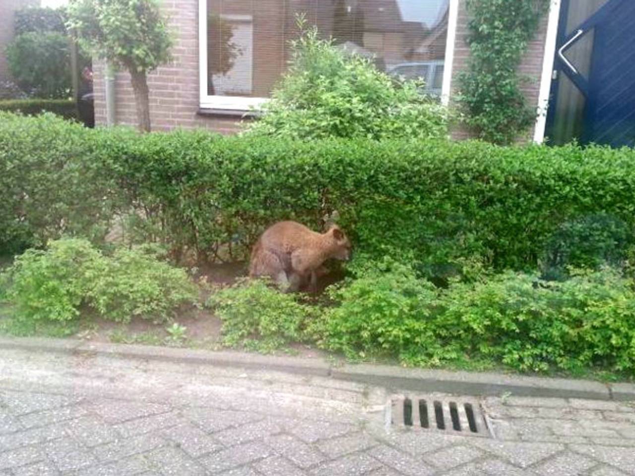 Omroep Brabant