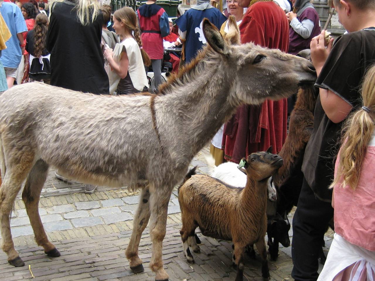 Omroep Brabant