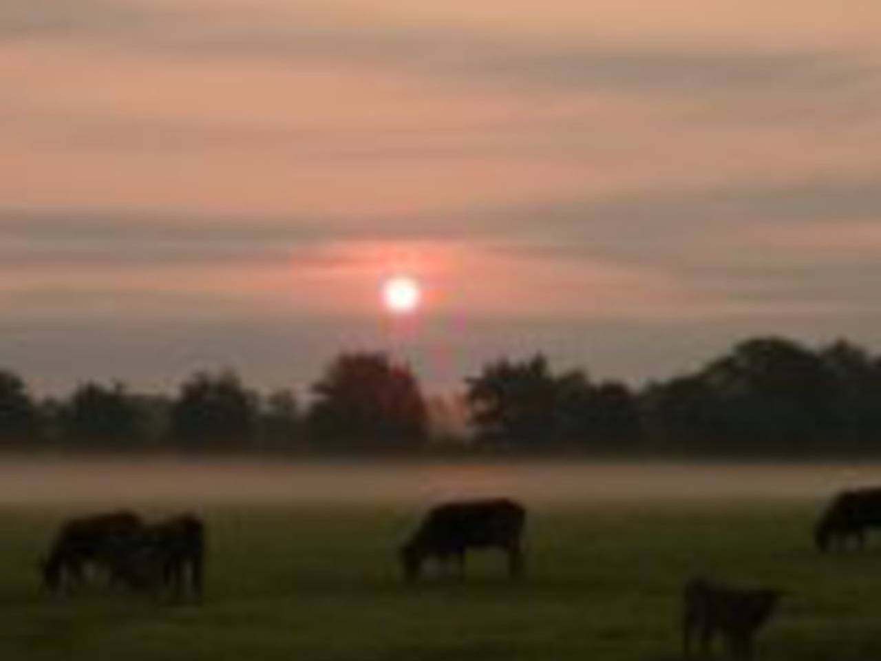 Omroep Brabant
