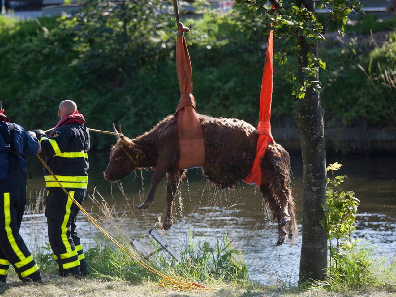 Omroep Brabant