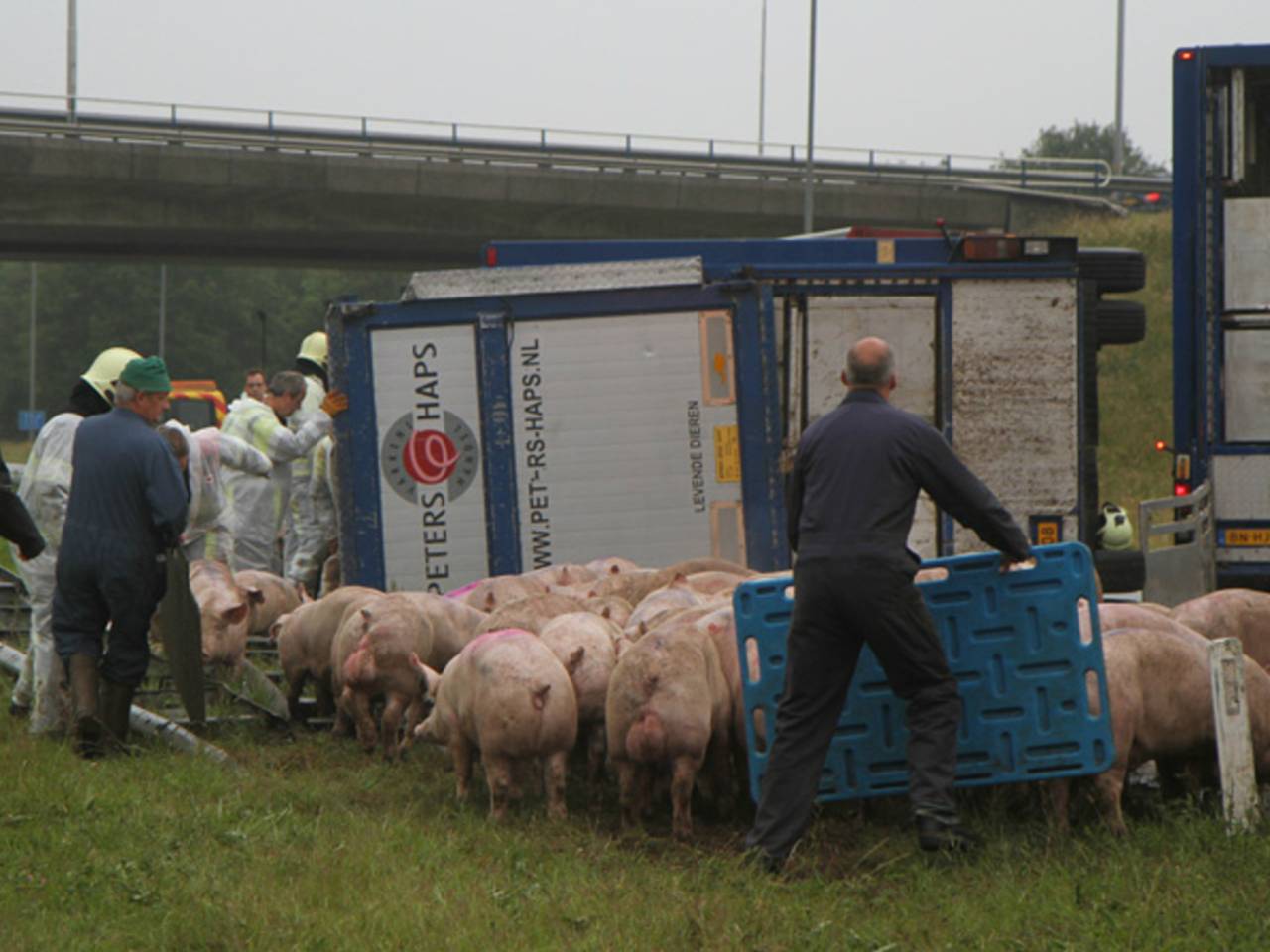 Omroep Brabant