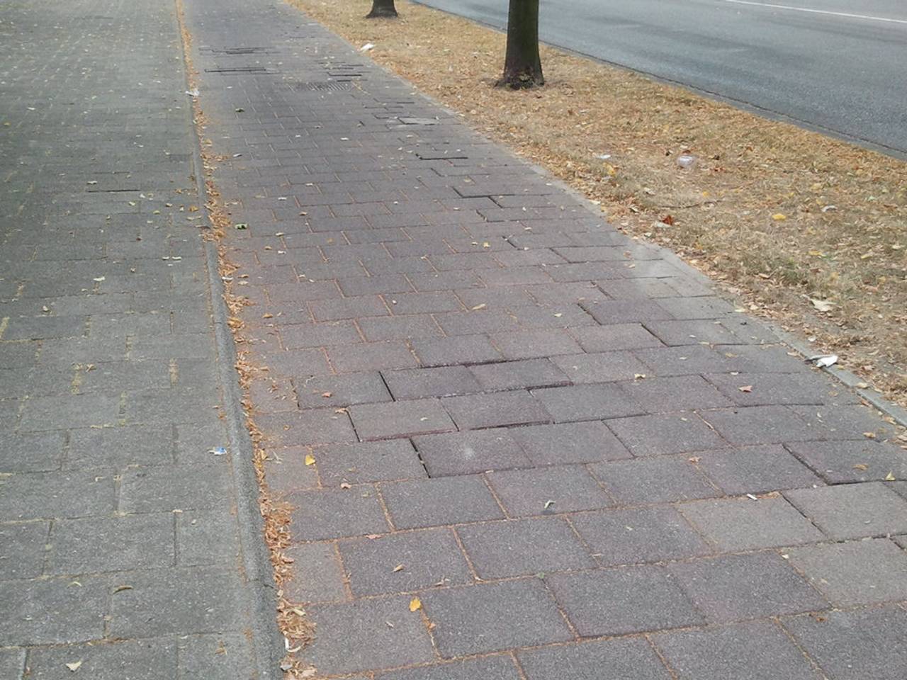 Omroep Brabant