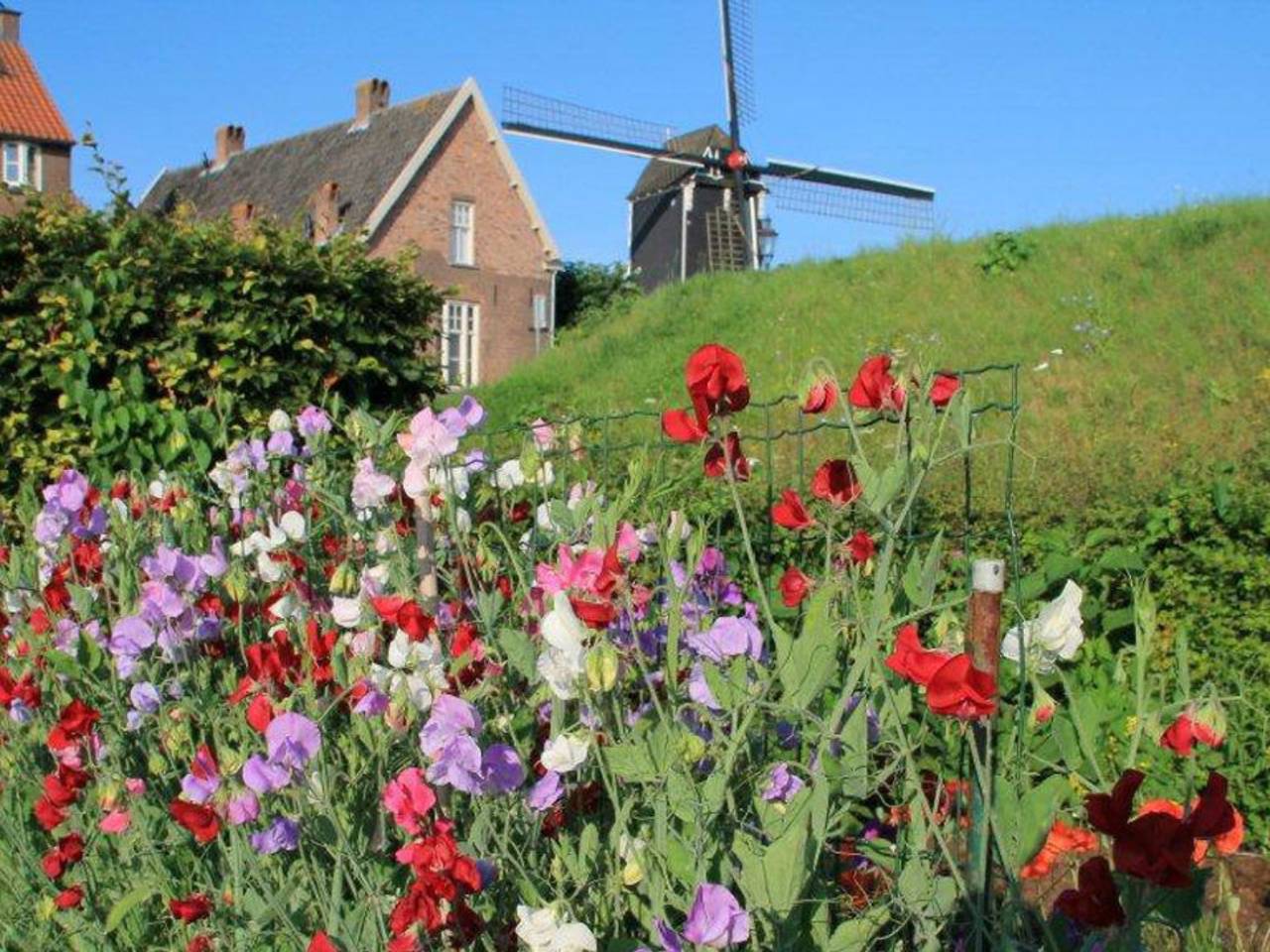 Omroep Brabant