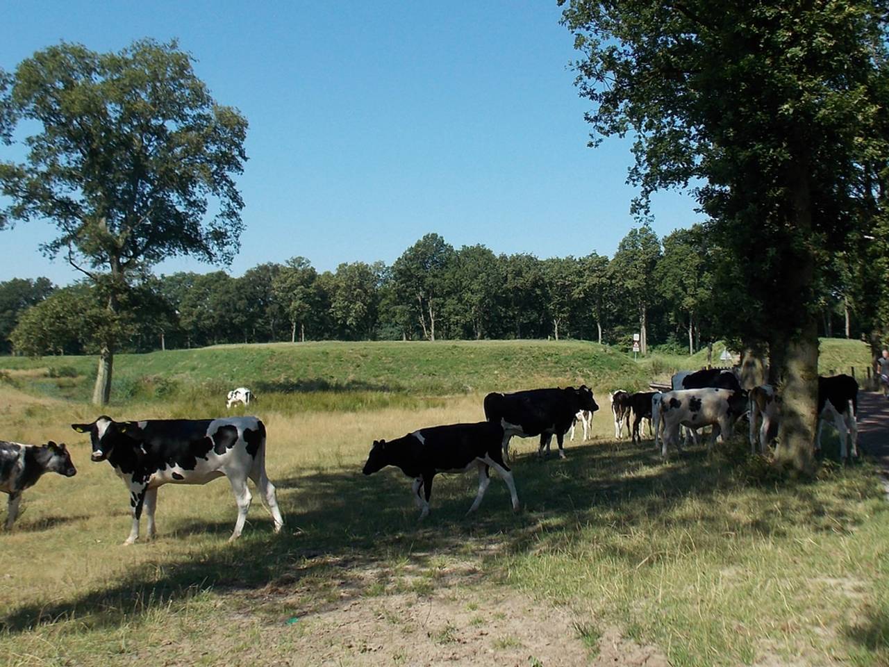 Omroep Brabant