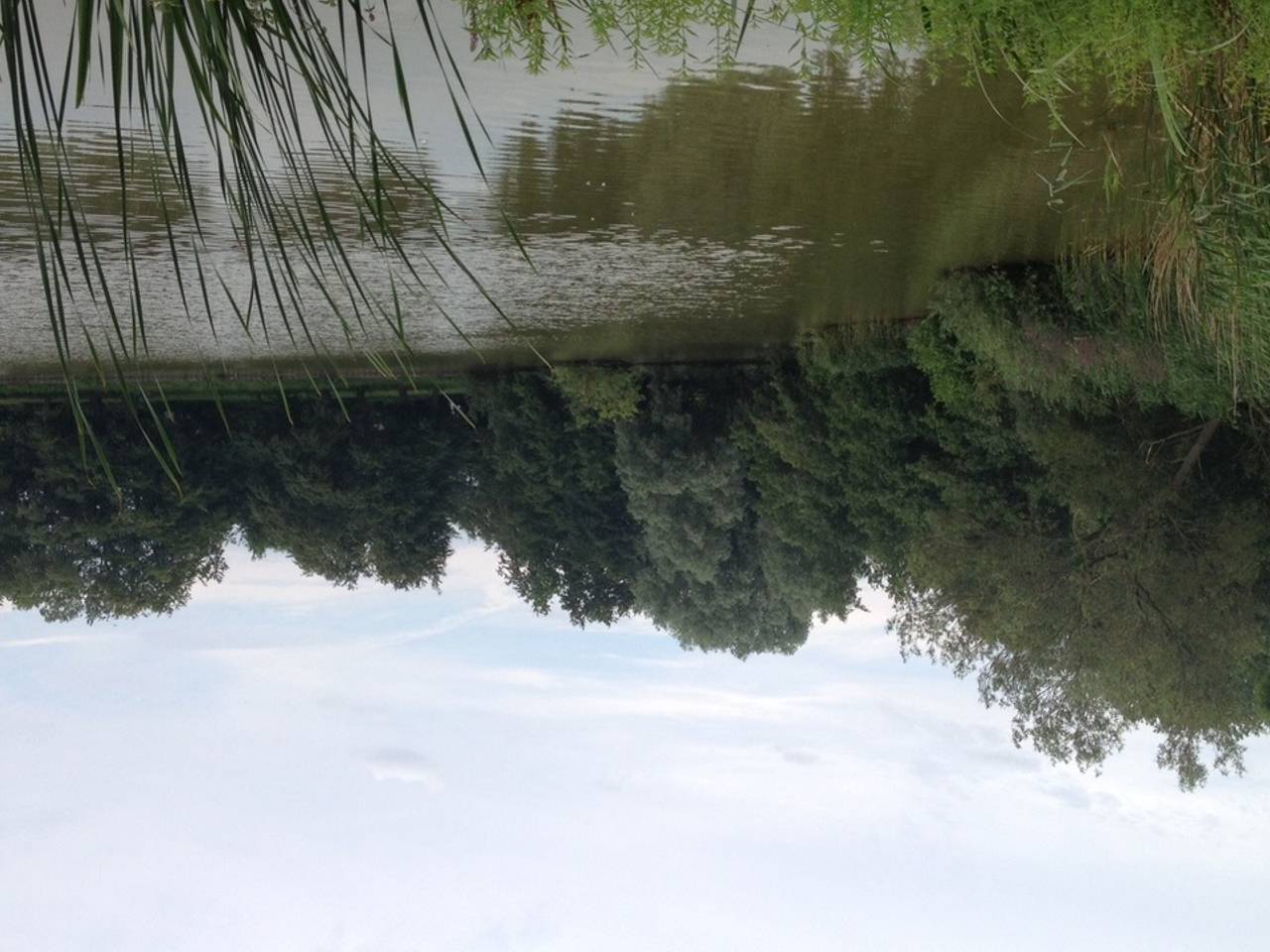 Omroep Brabant