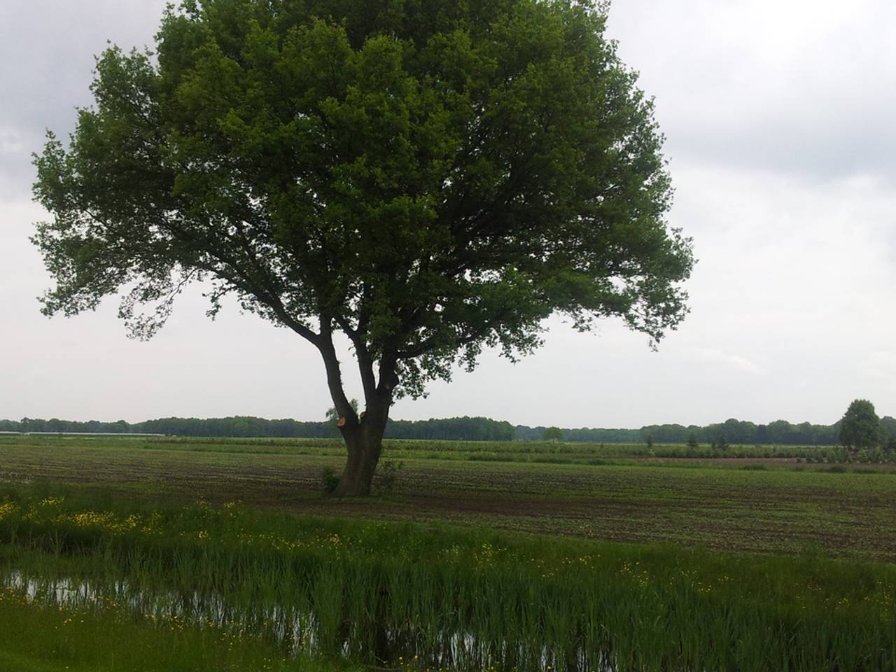 Omroep Brabant