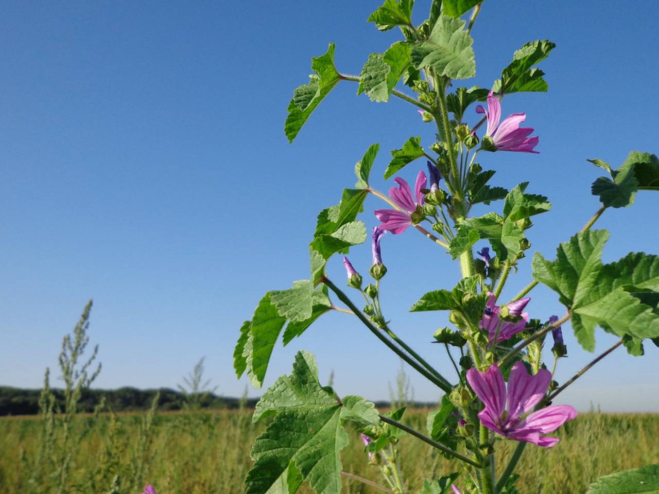 Omroep Brabant
