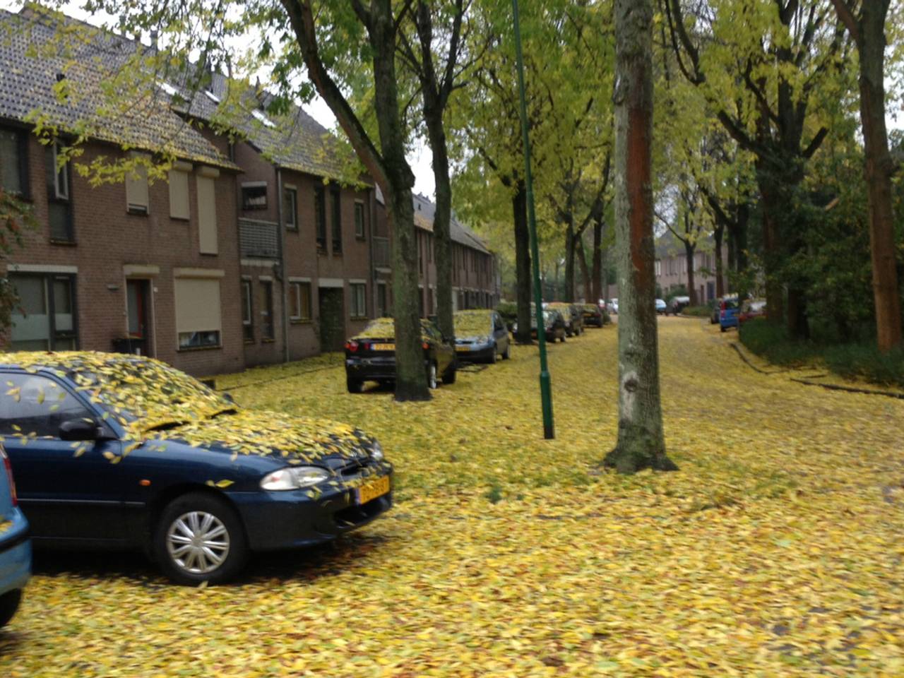 Omroep Brabant