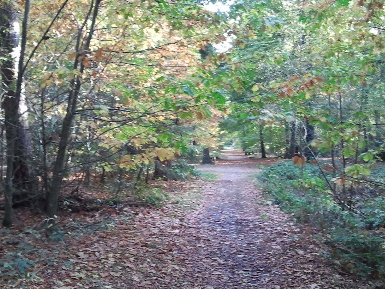 Omroep Brabant