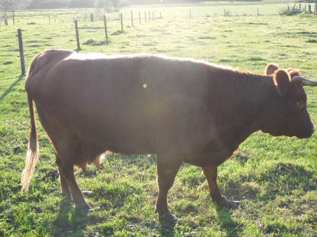 Omroep Brabant
