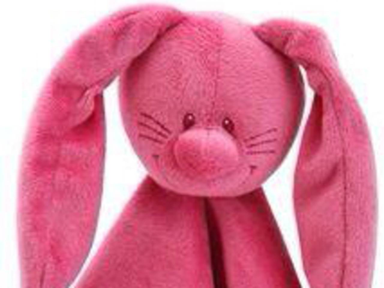 Knuffelkonijn gezocht (foto: Dave Stolk/Twitter)