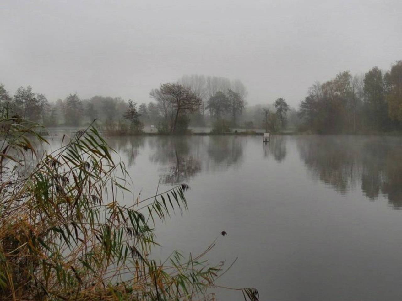Omroep Brabant