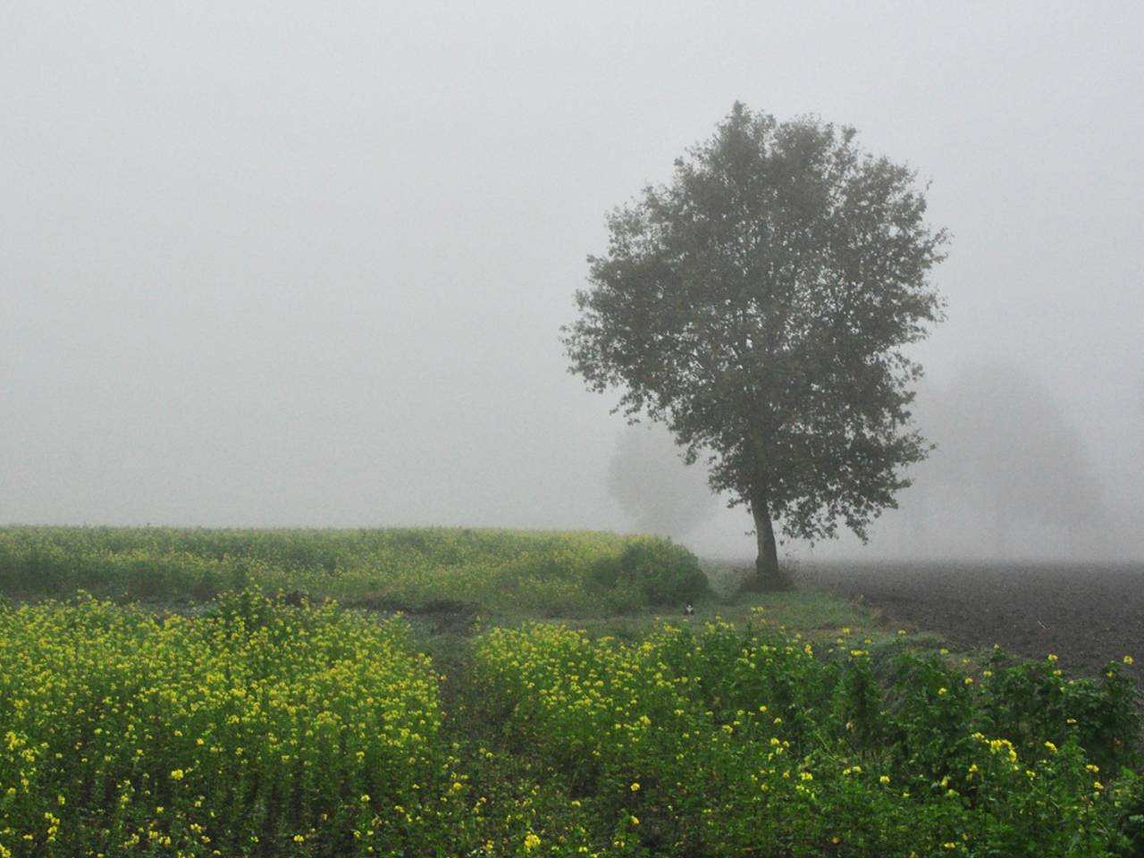 Omroep Brabant